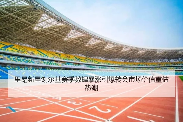 li-ang-xin-xing-xie-er-ji-sai-ji-shu-ju-bao-zhang-yin-bao-zhuan-hui-shi-chang-jia-zhi-zhong-gu-re-chao-2-429.jpg