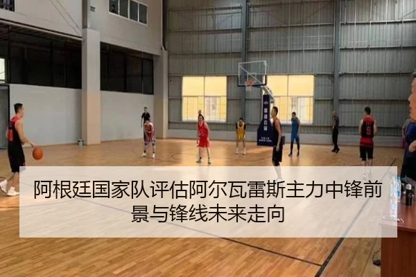 阿根廷国家队评估阿尔瓦雷斯主力中锋前景与锋线未来走向 | kaiyun